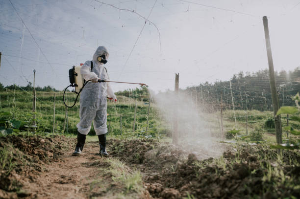 Best Pest Removal Services  in Vineyards, FL