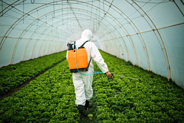 Best Pest Prevention Services  in Vineyards, FL
