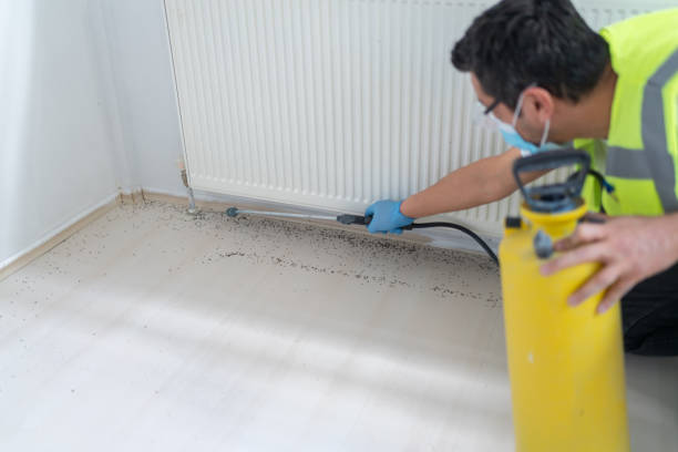 Best Ant Control Services  in Vineyards, FL