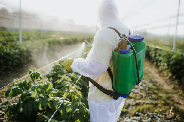 Best Exterminator Services  in Vineyards, FL